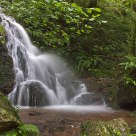 Cascada